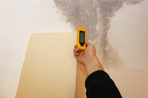 Best Asbestos and Lead Testing During Mold Inspection  in De Witt, NY