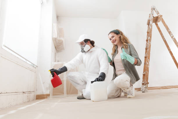Best Mold Remediation for Healthcare Facilities  in De Witt, NY