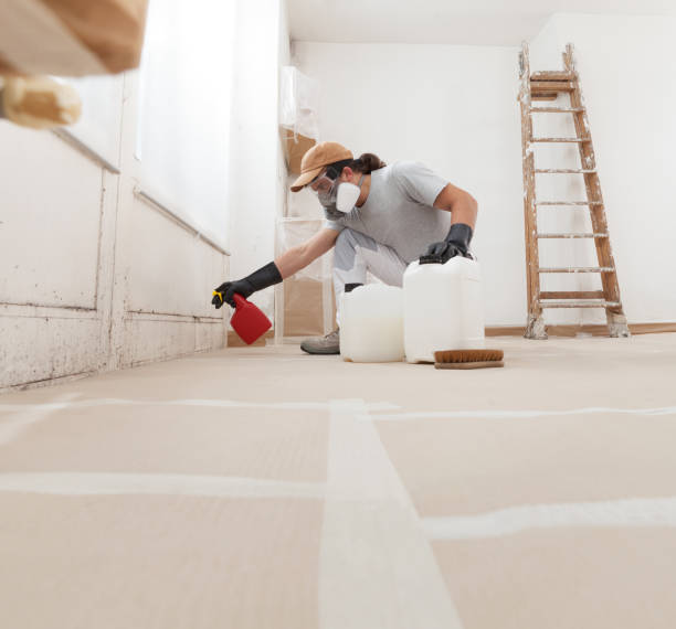 Best Forensic Mold Investigation  in De Witt, NY